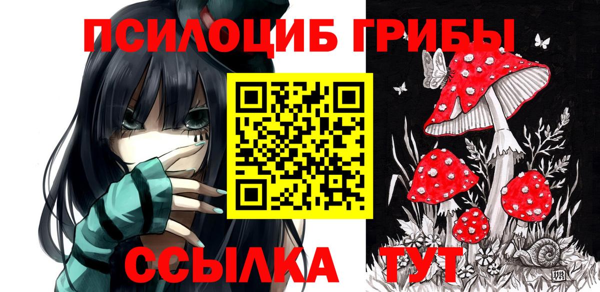 хочу   Вход с VPN  Миллерово  Псилоцибиновые грибы ЛСД 