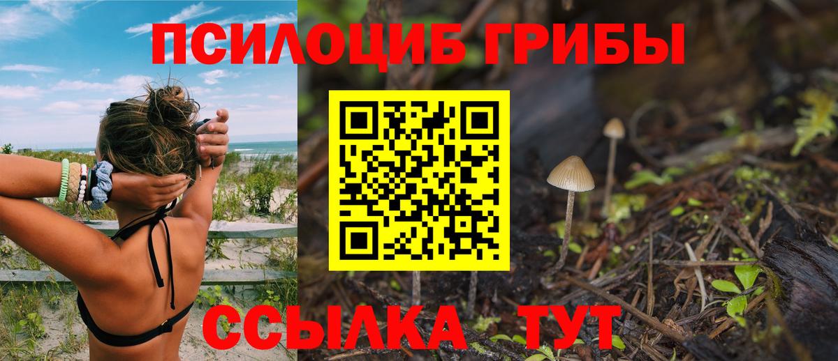 Галлюциногенные грибы мицелий Миллерово